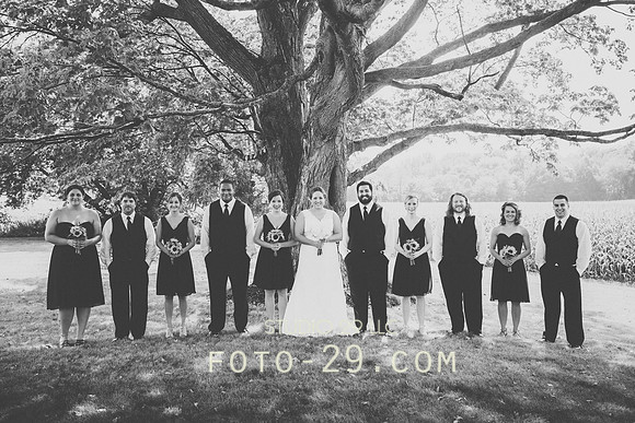 KM-Wedd-256bw