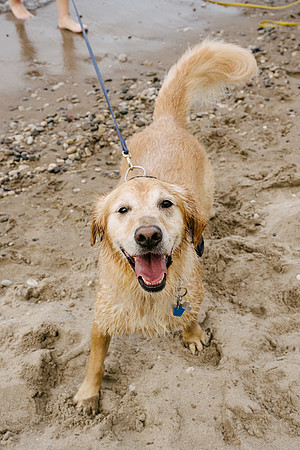 OffLeash2024-0884