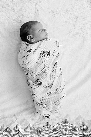 Charlie-Newborn-9208