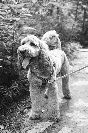 OffLeash2024-0493-2