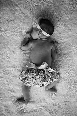 Everly-7435-2