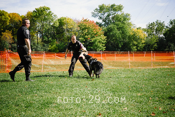 barktoberfest-9486