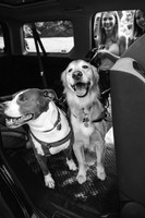 OffLeash2024-0399-2