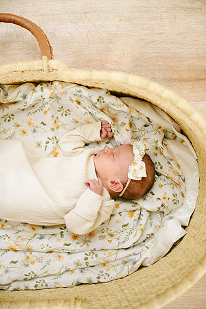 Willow-5432