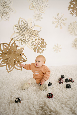 Snowflake24-81