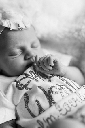 Everly-2255-2