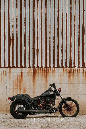 bike-6568