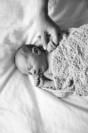 Willow-5347-2