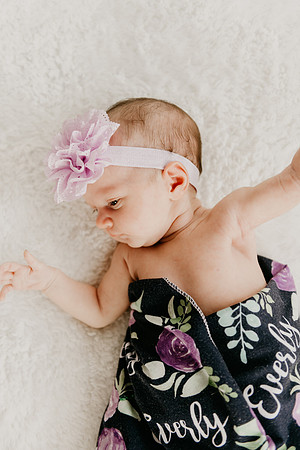 Everly-7407