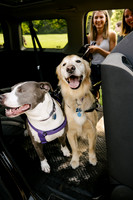 OffLeash2024-0399