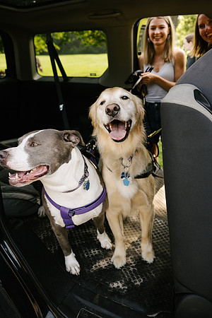 OffLeash2024-0399