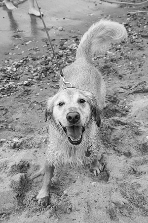 OffLeash2024-0884-2