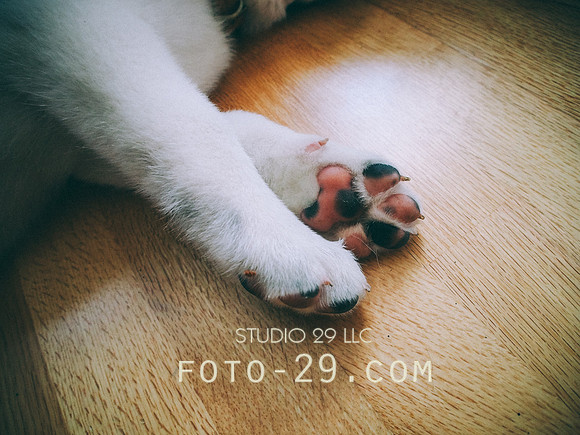 20140701-Kenzo-2