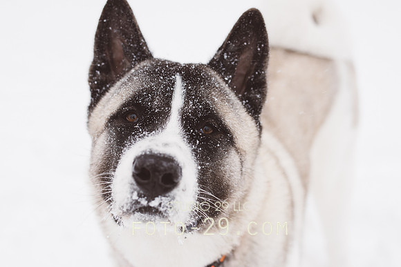 KenzoFeb2105-1552