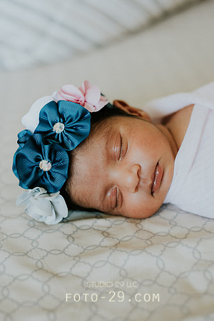 newborn-8992