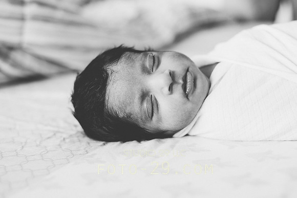 newborn-8979-2