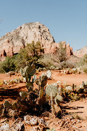 Sedona-2183