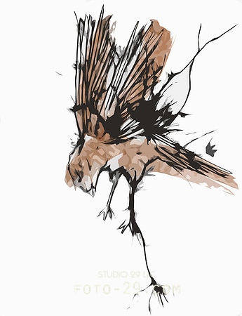 Red Bird Geometric