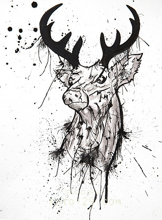 STAG-1a
