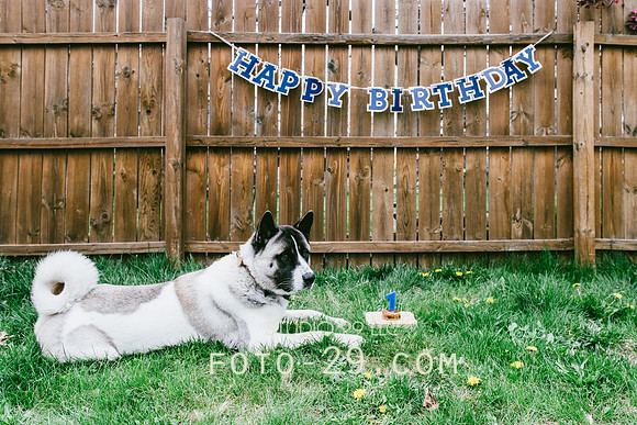 Kenzo-Birthday-1-1136