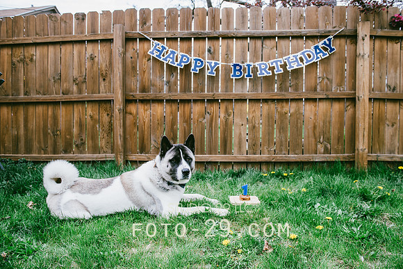 Kenzo-Birthday-1-1137