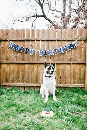 Kenzo-Birthday-1-1142
