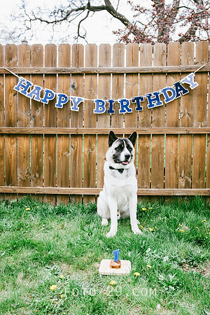 Kenzo-Birthday-1-1144