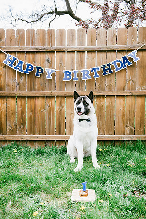 Kenzo-Birthday-1-1149