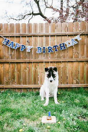 Kenzo-Birthday-1-1150