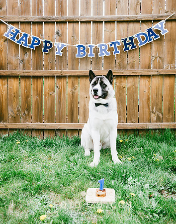 Kenzo-Birthday-1-1149a