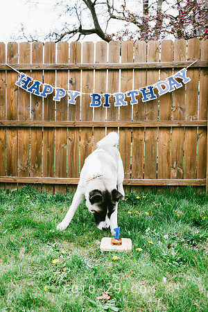Kenzo-Birthday-1-1153