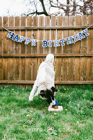 Kenzo-Birthday-1-1154