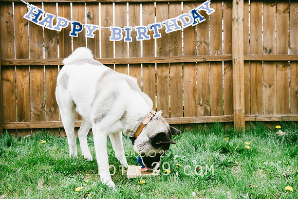 Kenzo-Birthday-1-1157
