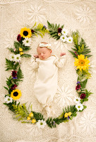 Willow In-Home Newborn Session May 2024