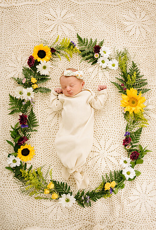Willow-5421