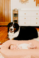 Genevieve (Evie) In-Home Newborn Session June 2021