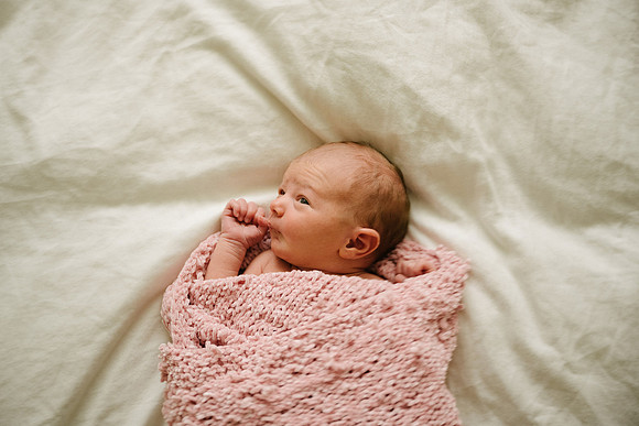 Willow-5341