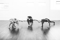 OM-12-16-1664-2