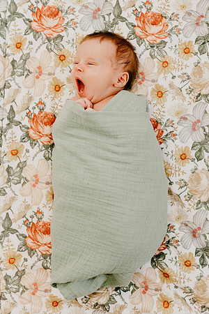 Evie-1430-2