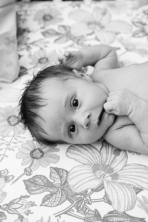 Evie-1509-2