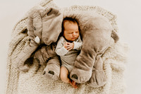 Cameron In-Studio Newborn Session