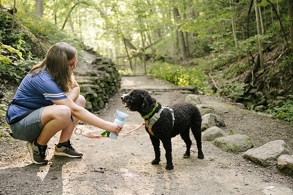 OffLeash2024-0703