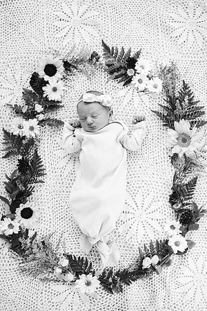 Willow-5421-2