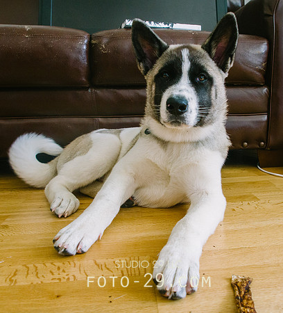 Kenzoo-2