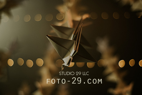 preview-4113