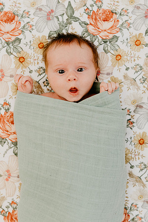 Evie-1434