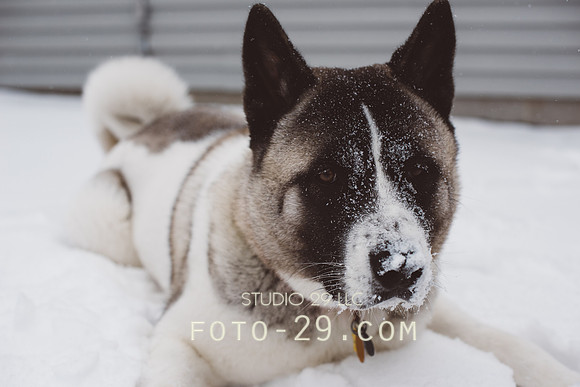 KenzoSnow150104-8