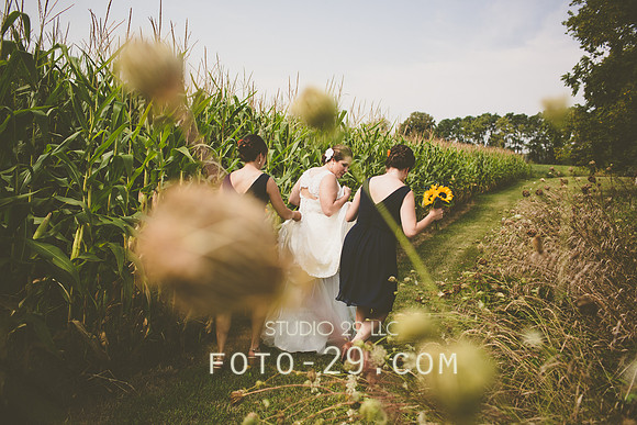 KM-Wedd-248