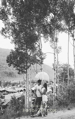 JB-2620-2