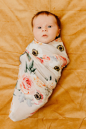 Evie-1444